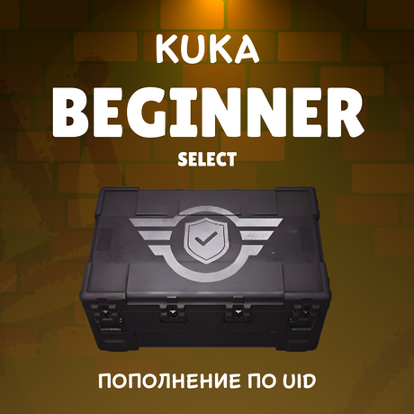 Набор для начинающего пополнение Arena Breakout mobile по ID